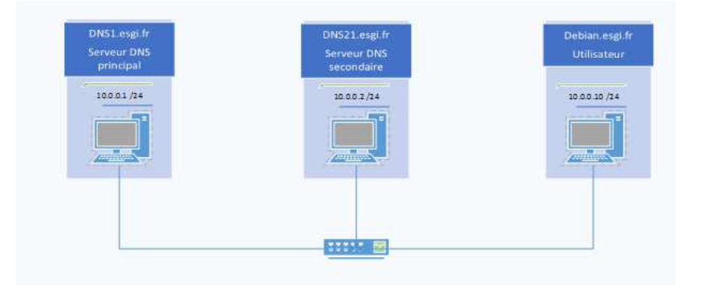 Topologie du lab : serveur DNS et poste client