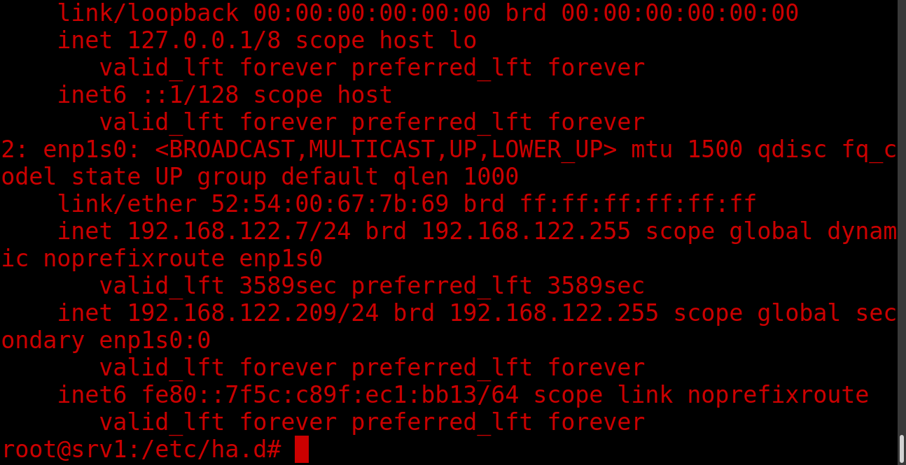 L'adresse IP virtuelle portée par le nœud actif